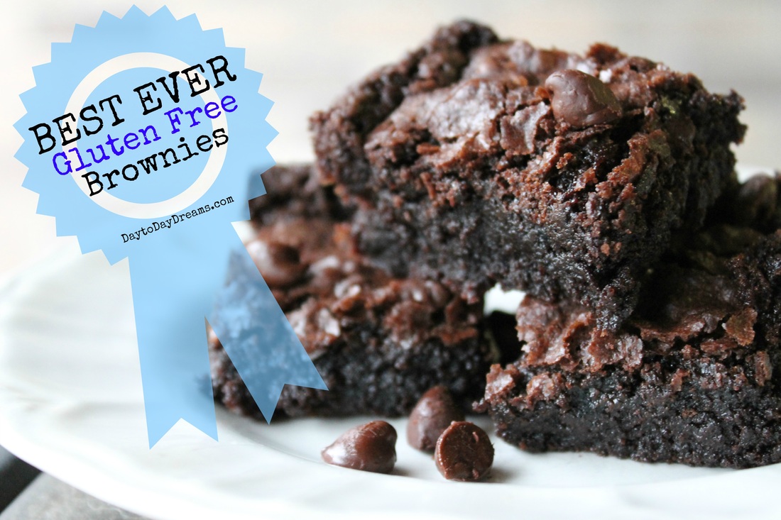 BEST EVER!!!!!  Gluten Free Brownies  DaytoDayDreams.com