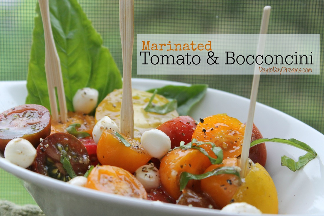 Marinated Tomato & Bocconcini