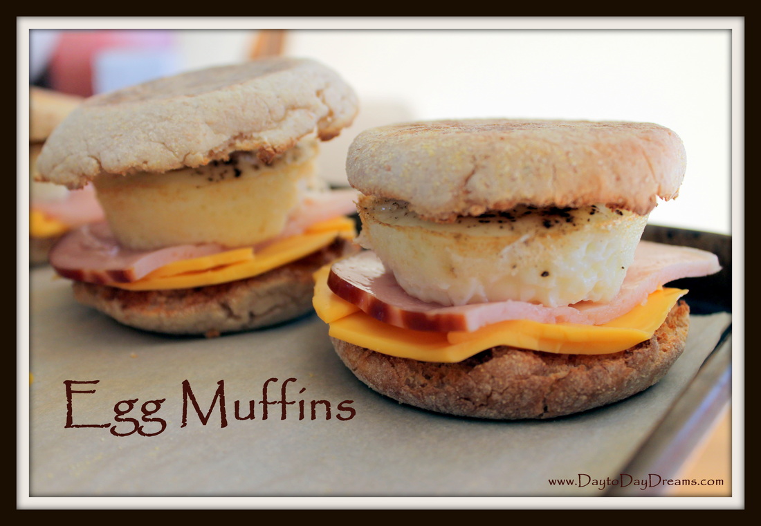Egg Muffins www.DaytoDayDreams.com