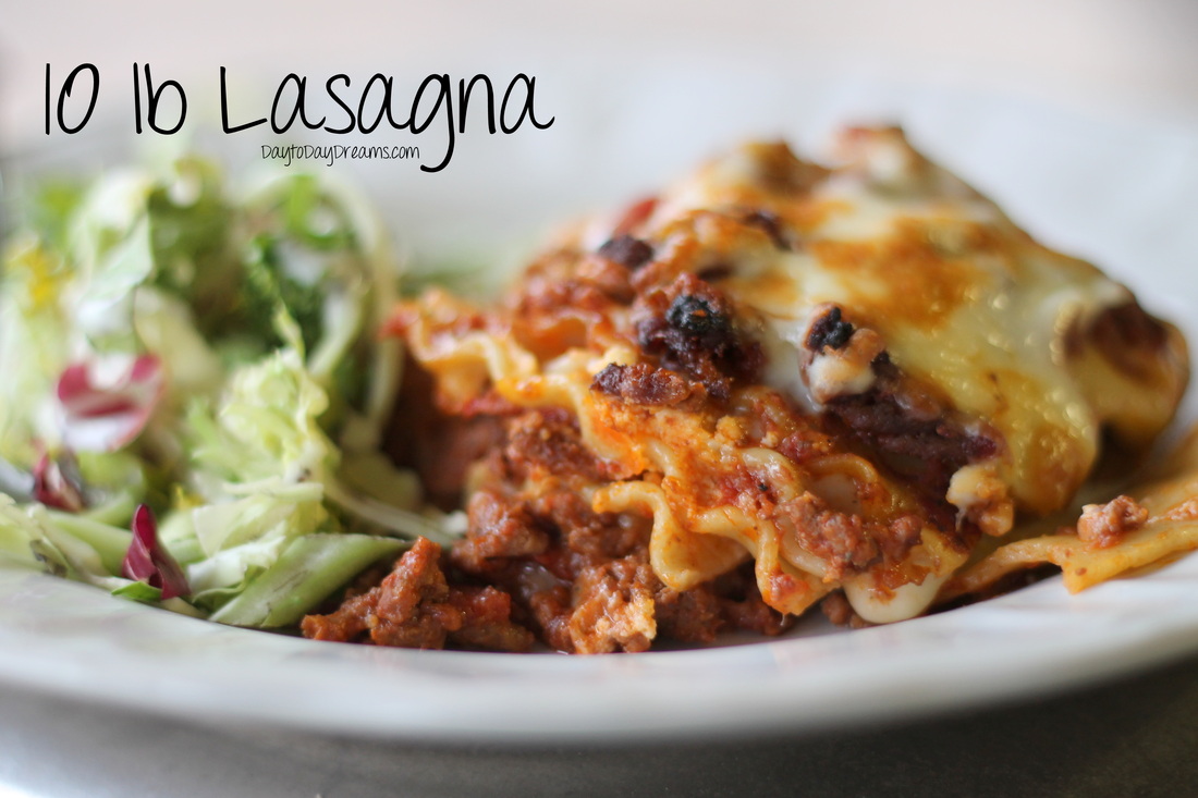10lb Lasagna