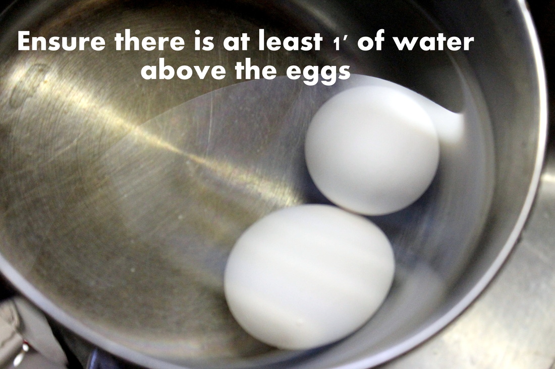 How to Boil an Egg DaytoDayDreams.com
