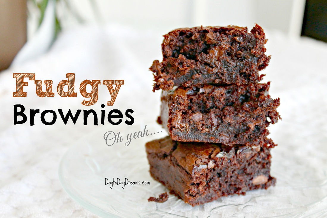 OMG -Fudgy Brownies