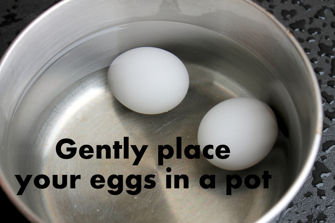 How to Boil an Egg DaytoDayDreams.com