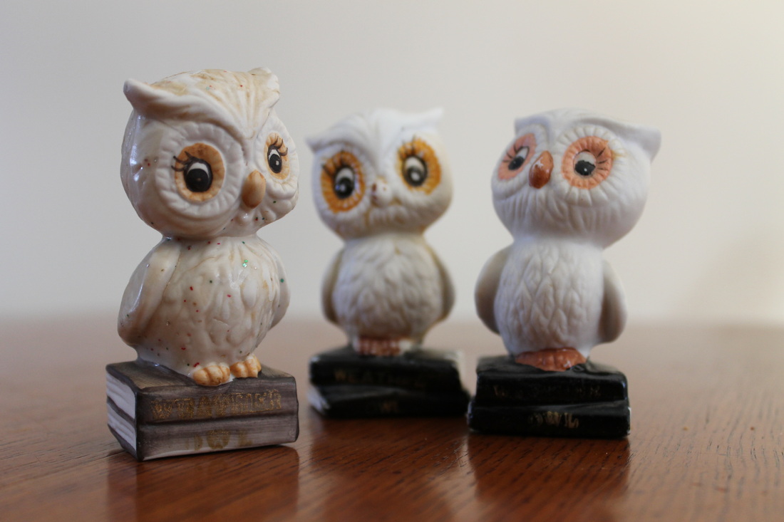3 little owls www.DaytoDayDreams.com