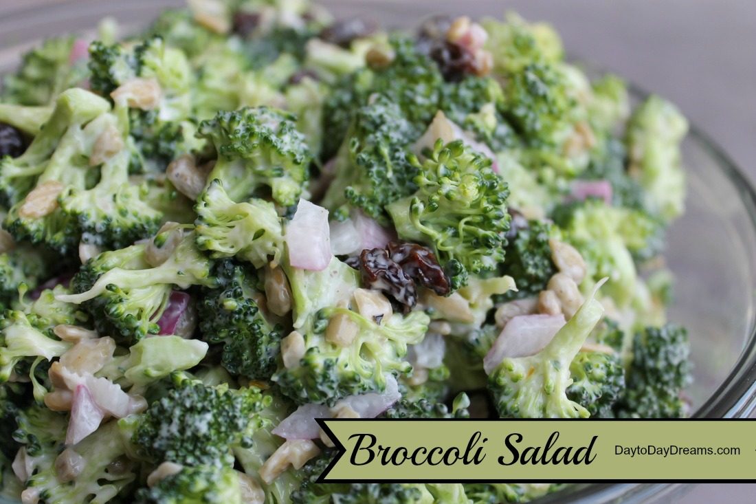 Broccoli Salad  www.daytodaydreams.com