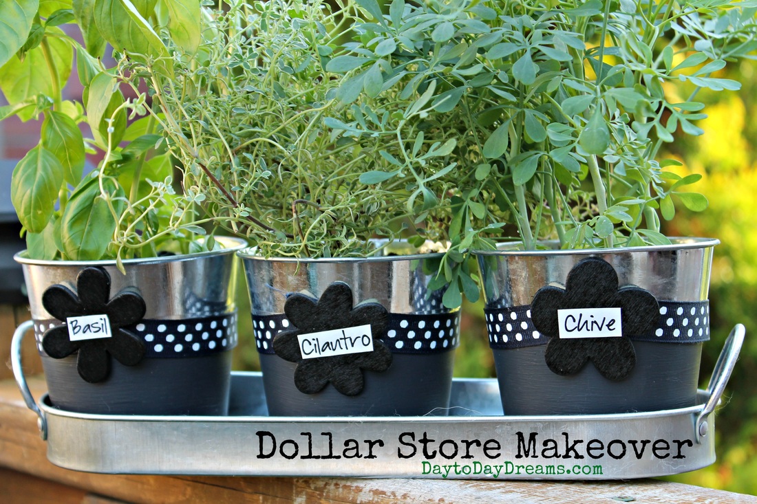Herb Pots  - Dollar Store Makeover-  daytoDayDreams.com