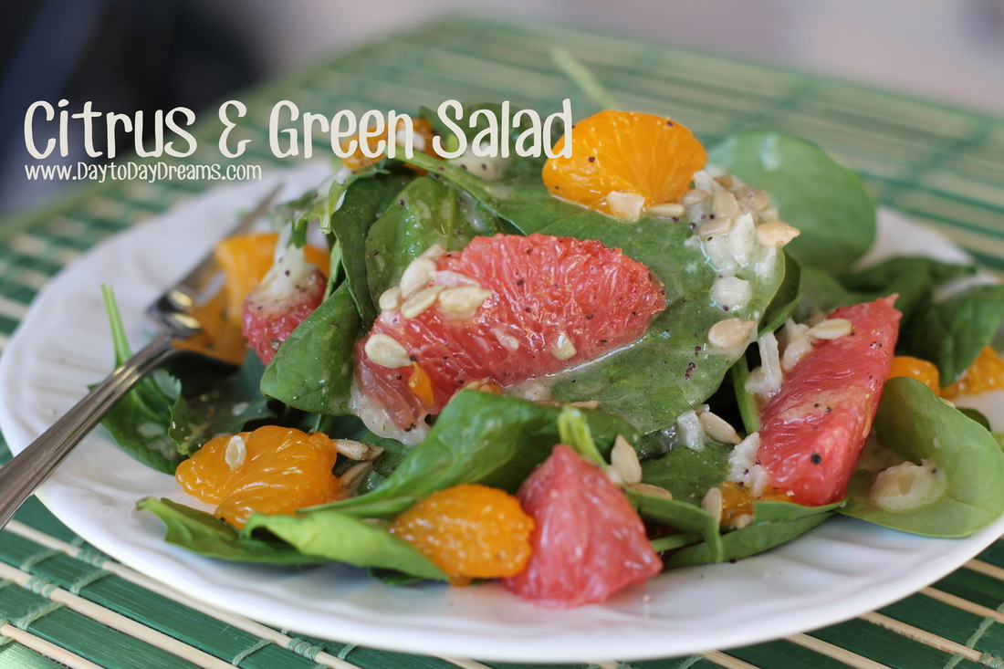 Citrus & Green Salad  DaytoDayDreams.com